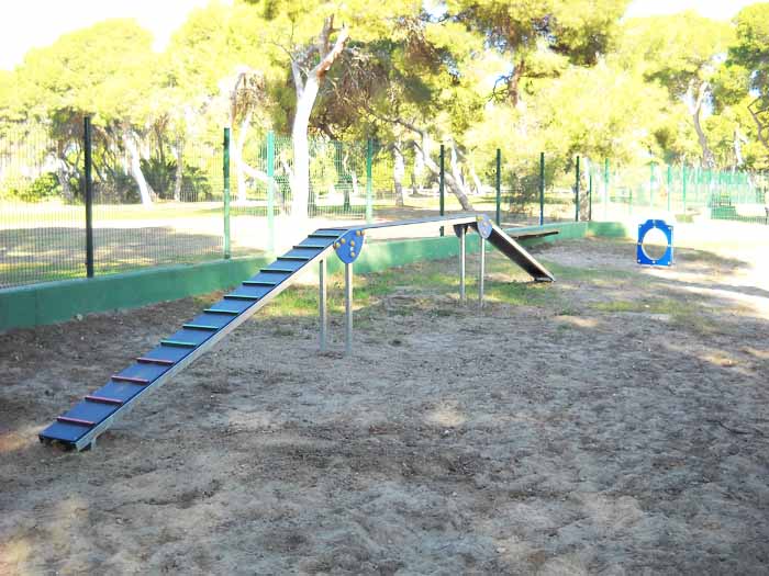 27 11 17 circuito canino agility perros castellon valencia 01