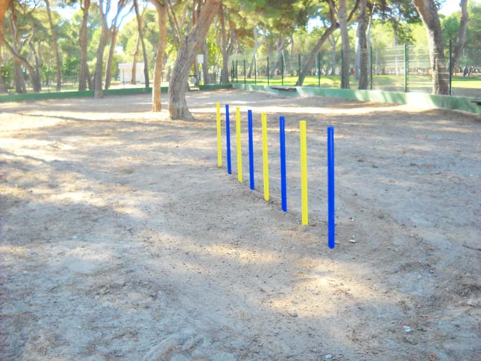 27 11 17 circuito canino agility perros castellon valencia 04